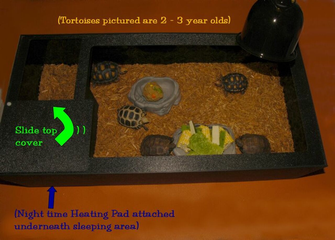 Complete Tortoise Habitat For Sale,